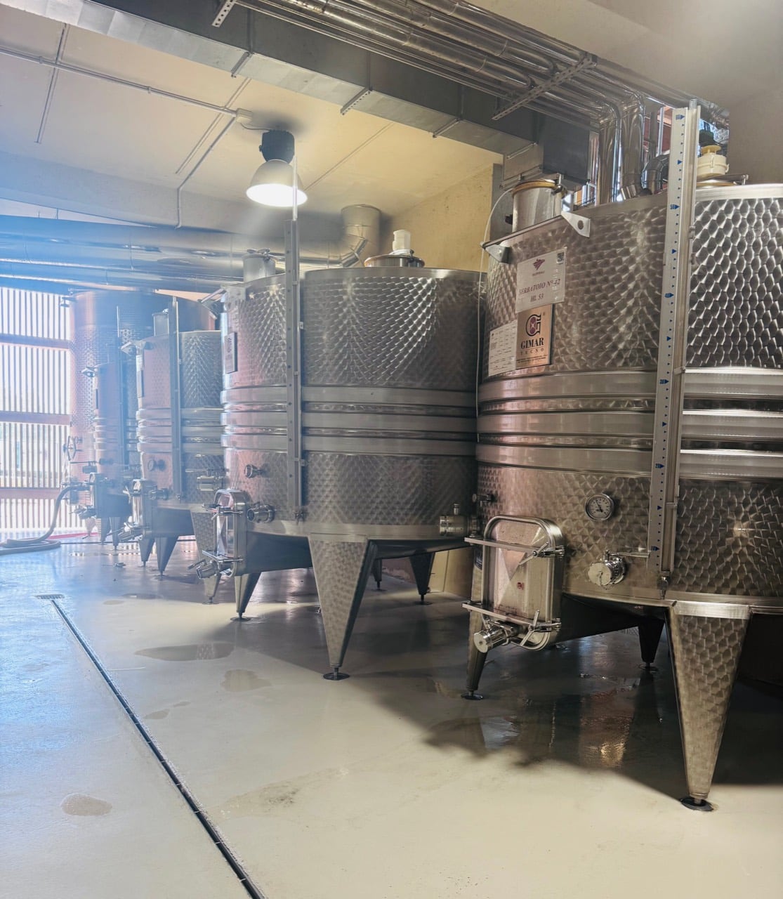 A precise row of stainless steel winery tanks lit from the open doorway