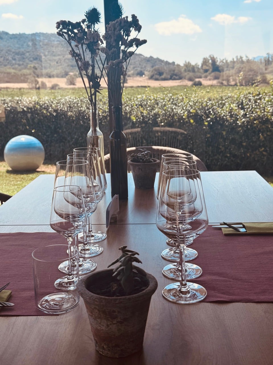 A tasting table set with rows of glasses overlooking the Surrau vineyard